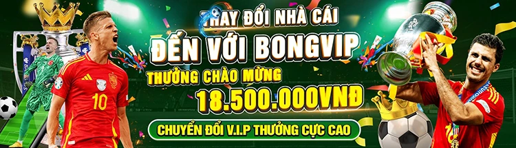 Bongvip